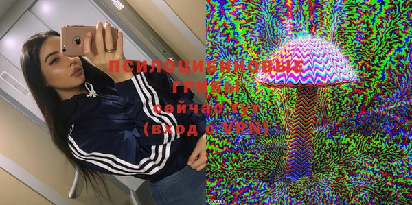 дживик Алзамай