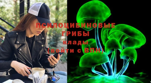 альфа пвп Алексеевка