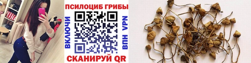 Галлюциногенные грибы Psilocybine cubensis  Мантурово 